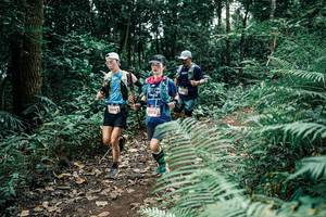 BIB: 
                            <button type="button" onclick="openModal(25509377)" class="btn btn-primary btn-sm float-right btn-popup" data-toggle="modal" data-target=".modal-high-quality">
                        <i class="fas fa-shopping-cart"></i> Add to Cart
                    </button>
                                            <button type="button" onclick="isThisMe(25509377, true)" class="btn btn-success btn-sm float-right btn-popup btn-isme hidden" data-toggle="tooltip" data-placement="bottom" title="นี่คือรูปของคุณใช่ไหม คลิกที่นี่เพื่อเอาเข้าอัลบั้ม">
                        <i class="fas fa-plus"></i> Add to album
                    </button>
                    <button type="button" onclick="isThisMe(25509377, false)" class="btn btn-warning btn-sm float-right btn-popup btn-isnotme hidden">
                        <i class="fas fa-ban"></i> Remove from album
                    </button>