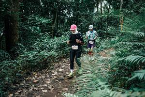 BIB: 
                            <button type="button" onclick="openModal(25513716)" class="btn btn-primary btn-sm float-right btn-popup" data-toggle="modal" data-target=".modal-high-quality">
                        <i class="fas fa-shopping-cart"></i> Add to Cart
                    </button>
                                            <button type="button" onclick="isThisMe(25513716, true)" class="btn btn-success btn-sm float-right btn-popup btn-isme hidden" data-toggle="tooltip" data-placement="bottom" title="นี่คือรูปของคุณใช่ไหม คลิกที่นี่เพื่อเอาเข้าอัลบั้ม">
                        <i class="fas fa-plus"></i> Add to album
                    </button>
                    <button type="button" onclick="isThisMe(25513716, false)" class="btn btn-warning btn-sm float-right btn-popup btn-isnotme hidden">
                        <i class="fas fa-ban"></i> Remove from album
                    </button>