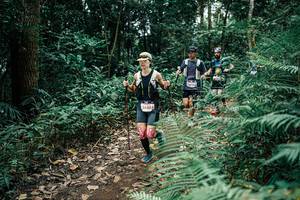 BIB: 
                            <button type="button" onclick="openModal(25510852)" class="btn btn-primary btn-sm float-right btn-popup" data-toggle="modal" data-target=".modal-high-quality">
                        <i class="fas fa-shopping-cart"></i> Add to Cart
                    </button>
                                            <button type="button" onclick="isThisMe(25510852, true)" class="btn btn-success btn-sm float-right btn-popup btn-isme hidden" data-toggle="tooltip" data-placement="bottom" title="นี่คือรูปของคุณใช่ไหม คลิกที่นี่เพื่อเอาเข้าอัลบั้ม">
                        <i class="fas fa-plus"></i> Add to album
                    </button>
                    <button type="button" onclick="isThisMe(25510852, false)" class="btn btn-warning btn-sm float-right btn-popup btn-isnotme hidden">
                        <i class="fas fa-ban"></i> Remove from album
                    </button>