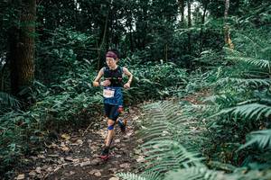 BIB: 
                            <button type="button" onclick="openModal(25502603)" class="btn btn-primary btn-sm float-right btn-popup" data-toggle="modal" data-target=".modal-high-quality">
                        <i class="fas fa-shopping-cart"></i> Add to Cart
                    </button>
                                            <button type="button" onclick="isThisMe(25502603, true)" class="btn btn-success btn-sm float-right btn-popup btn-isme hidden" data-toggle="tooltip" data-placement="bottom" title="นี่คือรูปของคุณใช่ไหม คลิกที่นี่เพื่อเอาเข้าอัลบั้ม">
                        <i class="fas fa-plus"></i> Add to album
                    </button>
                    <button type="button" onclick="isThisMe(25502603, false)" class="btn btn-warning btn-sm float-right btn-popup btn-isnotme hidden">
                        <i class="fas fa-ban"></i> Remove from album
                    </button>