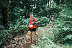 BIB: 
                            <button type="button" onclick="openModal(25510165)" class="btn btn-primary btn-sm float-right btn-popup" data-toggle="modal" data-target=".modal-high-quality">
                        <i class="fas fa-shopping-cart"></i> Add to Cart
                    </button>
                                            <button type="button" onclick="isThisMe(25510165, true)" class="btn btn-success btn-sm float-right btn-popup btn-isme hidden" data-toggle="tooltip" data-placement="bottom" title="นี่คือรูปของคุณใช่ไหม คลิกที่นี่เพื่อเอาเข้าอัลบั้ม">
                        <i class="fas fa-plus"></i> Add to album
                    </button>
                    <button type="button" onclick="isThisMe(25510165, false)" class="btn btn-warning btn-sm float-right btn-popup btn-isnotme hidden">
                        <i class="fas fa-ban"></i> Remove from album
                    </button>