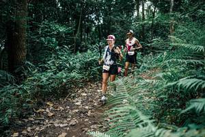 BIB: 
                            <button type="button" onclick="openModal(25507659)" class="btn btn-primary btn-sm float-right btn-popup" data-toggle="modal" data-target=".modal-high-quality">
                        <i class="fas fa-shopping-cart"></i> Add to Cart
                    </button>
                                            <button type="button" onclick="isThisMe(25507659, true)" class="btn btn-success btn-sm float-right btn-popup btn-isme hidden" data-toggle="tooltip" data-placement="bottom" title="นี่คือรูปของคุณใช่ไหม คลิกที่นี่เพื่อเอาเข้าอัลบั้ม">
                        <i class="fas fa-plus"></i> Add to album
                    </button>
                    <button type="button" onclick="isThisMe(25507659, false)" class="btn btn-warning btn-sm float-right btn-popup btn-isnotme hidden">
                        <i class="fas fa-ban"></i> Remove from album
                    </button>