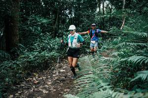 BIB: 
                            <button type="button" onclick="openModal(25514496)" class="btn btn-primary btn-sm float-right btn-popup" data-toggle="modal" data-target=".modal-high-quality">
                        <i class="fas fa-shopping-cart"></i> Add to Cart
                    </button>
                                            <button type="button" onclick="isThisMe(25514496, true)" class="btn btn-success btn-sm float-right btn-popup btn-isme hidden" data-toggle="tooltip" data-placement="bottom" title="นี่คือรูปของคุณใช่ไหม คลิกที่นี่เพื่อเอาเข้าอัลบั้ม">
                        <i class="fas fa-plus"></i> Add to album
                    </button>
                    <button type="button" onclick="isThisMe(25514496, false)" class="btn btn-warning btn-sm float-right btn-popup btn-isnotme hidden">
                        <i class="fas fa-ban"></i> Remove from album
                    </button>