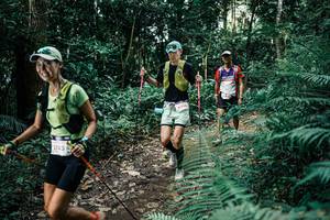 BIB: 
                            <button type="button" onclick="openModal(25518211)" class="btn btn-primary btn-sm float-right btn-popup" data-toggle="modal" data-target=".modal-high-quality">
                        <i class="fas fa-shopping-cart"></i> Add to Cart
                    </button>
                                            <button type="button" onclick="isThisMe(25518211, true)" class="btn btn-success btn-sm float-right btn-popup btn-isme hidden" data-toggle="tooltip" data-placement="bottom" title="นี่คือรูปของคุณใช่ไหม คลิกที่นี่เพื่อเอาเข้าอัลบั้ม">
                        <i class="fas fa-plus"></i> Add to album
                    </button>
                    <button type="button" onclick="isThisMe(25518211, false)" class="btn btn-warning btn-sm float-right btn-popup btn-isnotme hidden">
                        <i class="fas fa-ban"></i> Remove from album
                    </button>