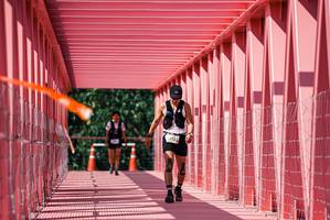 BIB: 
                            <button type="button" onclick="openModal(26119814)" class="btn btn-primary btn-sm float-right btn-popup" data-toggle="modal" data-target=".modal-high-quality">
                        <i class="fas fa-shopping-cart"></i> Add to Cart
                    </button>
                                            <button type="button" onclick="isThisMe(26119814, true)" class="btn btn-success btn-sm float-right btn-popup btn-isme hidden" data-toggle="tooltip" data-placement="bottom" title="นี่คือรูปของคุณใช่ไหม คลิกที่นี่เพื่อเอาเข้าอัลบั้ม">
                        <i class="fas fa-plus"></i> Add to album
                    </button>
                    <button type="button" onclick="isThisMe(26119814, false)" class="btn btn-warning btn-sm float-right btn-popup btn-isnotme hidden">
                        <i class="fas fa-ban"></i> Remove from album
                    </button>