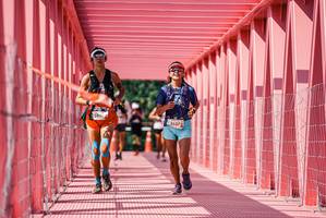 BIB: 
                            <button type="button" onclick="openModal(26124545)" class="btn btn-primary btn-sm float-right btn-popup" data-toggle="modal" data-target=".modal-high-quality">
                        <i class="fas fa-shopping-cart"></i> Add to Cart
                    </button>
                                            <button type="button" onclick="isThisMe(26124545, true)" class="btn btn-success btn-sm float-right btn-popup btn-isme hidden" data-toggle="tooltip" data-placement="bottom" title="นี่คือรูปของคุณใช่ไหม คลิกที่นี่เพื่อเอาเข้าอัลบั้ม">
                        <i class="fas fa-plus"></i> Add to album
                    </button>
                    <button type="button" onclick="isThisMe(26124545, false)" class="btn btn-warning btn-sm float-right btn-popup btn-isnotme hidden">
                        <i class="fas fa-ban"></i> Remove from album
                    </button>