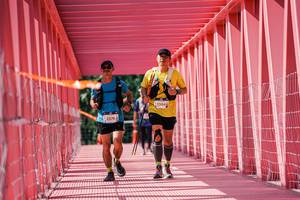 BIB: 
                            <button type="button" onclick="openModal(26131471)" class="btn btn-primary btn-sm float-right btn-popup" data-toggle="modal" data-target=".modal-high-quality">
                        <i class="fas fa-shopping-cart"></i> Add to Cart
                    </button>
                                            <button type="button" onclick="isThisMe(26131471, true)" class="btn btn-success btn-sm float-right btn-popup btn-isme hidden" data-toggle="tooltip" data-placement="bottom" title="นี่คือรูปของคุณใช่ไหม คลิกที่นี่เพื่อเอาเข้าอัลบั้ม">
                        <i class="fas fa-plus"></i> Add to album
                    </button>
                    <button type="button" onclick="isThisMe(26131471, false)" class="btn btn-warning btn-sm float-right btn-popup btn-isnotme hidden">
                        <i class="fas fa-ban"></i> Remove from album
                    </button>