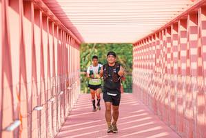 BIB: 
                            <button type="button" onclick="openModal(26121416)" class="btn btn-primary btn-sm float-right btn-popup" data-toggle="modal" data-target=".modal-high-quality">
                        <i class="fas fa-shopping-cart"></i> Add to Cart
                    </button>
                                            <button type="button" onclick="isThisMe(26121416, true)" class="btn btn-success btn-sm float-right btn-popup btn-isme hidden" data-toggle="tooltip" data-placement="bottom" title="นี่คือรูปของคุณใช่ไหม คลิกที่นี่เพื่อเอาเข้าอัลบั้ม">
                        <i class="fas fa-plus"></i> Add to album
                    </button>
                    <button type="button" onclick="isThisMe(26121416, false)" class="btn btn-warning btn-sm float-right btn-popup btn-isnotme hidden">
                        <i class="fas fa-ban"></i> Remove from album
                    </button>