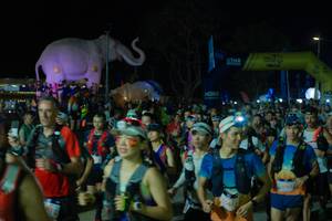 BIB: 
                            <button type="button" onclick="openModal(25583266)" class="btn btn-primary btn-sm float-right btn-popup" data-toggle="modal" data-target=".modal-high-quality">
                        <i class="fas fa-shopping-cart"></i> Add to Cart
                    </button>
                                            <button type="button" onclick="isThisMe(25583266, true)" class="btn btn-success btn-sm float-right btn-popup btn-isme hidden" data-toggle="tooltip" data-placement="bottom" title="นี่คือรูปของคุณใช่ไหม คลิกที่นี่เพื่อเอาเข้าอัลบั้ม">
                        <i class="fas fa-plus"></i> Add to album
                    </button>
                    <button type="button" onclick="isThisMe(25583266, false)" class="btn btn-warning btn-sm float-right btn-popup btn-isnotme hidden">
                        <i class="fas fa-ban"></i> Remove from album
                    </button>