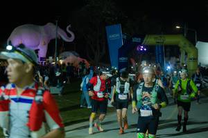 BIB: 
                            <button type="button" onclick="openModal(25585899)" class="btn btn-primary btn-sm float-right btn-popup" data-toggle="modal" data-target=".modal-high-quality">
                        <i class="fas fa-shopping-cart"></i> Add to Cart
                    </button>
                                            <button type="button" onclick="isThisMe(25585899, true)" class="btn btn-success btn-sm float-right btn-popup btn-isme hidden" data-toggle="tooltip" data-placement="bottom" title="นี่คือรูปของคุณใช่ไหม คลิกที่นี่เพื่อเอาเข้าอัลบั้ม">
                        <i class="fas fa-plus"></i> Add to album
                    </button>
                    <button type="button" onclick="isThisMe(25585899, false)" class="btn btn-warning btn-sm float-right btn-popup btn-isnotme hidden">
                        <i class="fas fa-ban"></i> Remove from album
                    </button>