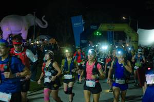 BIB: 
                            <button type="button" onclick="openModal(25586034)" class="btn btn-primary btn-sm float-right btn-popup" data-toggle="modal" data-target=".modal-high-quality">
                        <i class="fas fa-shopping-cart"></i> Add to Cart
                    </button>
                                            <button type="button" onclick="isThisMe(25586034, true)" class="btn btn-success btn-sm float-right btn-popup btn-isme hidden" data-toggle="tooltip" data-placement="bottom" title="นี่คือรูปของคุณใช่ไหม คลิกที่นี่เพื่อเอาเข้าอัลบั้ม">
                        <i class="fas fa-plus"></i> Add to album
                    </button>
                    <button type="button" onclick="isThisMe(25586034, false)" class="btn btn-warning btn-sm float-right btn-popup btn-isnotme hidden">
                        <i class="fas fa-ban"></i> Remove from album
                    </button>