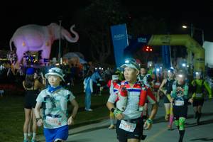 BIB: 
                            <button type="button" onclick="openModal(25585903)" class="btn btn-primary btn-sm float-right btn-popup" data-toggle="modal" data-target=".modal-high-quality">
                        <i class="fas fa-shopping-cart"></i> Add to Cart
                    </button>
                                            <button type="button" onclick="isThisMe(25585903, true)" class="btn btn-success btn-sm float-right btn-popup btn-isme hidden" data-toggle="tooltip" data-placement="bottom" title="นี่คือรูปของคุณใช่ไหม คลิกที่นี่เพื่อเอาเข้าอัลบั้ม">
                        <i class="fas fa-plus"></i> Add to album
                    </button>
                    <button type="button" onclick="isThisMe(25585903, false)" class="btn btn-warning btn-sm float-right btn-popup btn-isnotme hidden">
                        <i class="fas fa-ban"></i> Remove from album
                    </button>