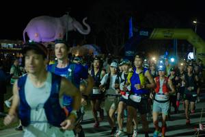 BIB: , 
                            <button type="button" onclick="openModal(25583081)" class="btn btn-primary btn-sm float-right btn-popup" data-toggle="modal" data-target=".modal-high-quality">
                        <i class="fas fa-shopping-cart"></i> Add to Cart
                    </button>
                                            <button type="button" onclick="isThisMe(25583081, true)" class="btn btn-success btn-sm float-right btn-popup btn-isme hidden" data-toggle="tooltip" data-placement="bottom" title="นี่คือรูปของคุณใช่ไหม คลิกที่นี่เพื่อเอาเข้าอัลบั้ม">
                        <i class="fas fa-plus"></i> Add to album
                    </button>
                    <button type="button" onclick="isThisMe(25583081, false)" class="btn btn-warning btn-sm float-right btn-popup btn-isnotme hidden">
                        <i class="fas fa-ban"></i> Remove from album
                    </button>