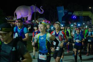 BIB: 
                            <button type="button" onclick="openModal(25585082)" class="btn btn-primary btn-sm float-right btn-popup" data-toggle="modal" data-target=".modal-high-quality">
                        <i class="fas fa-shopping-cart"></i> Add to Cart
                    </button>
                                            <button type="button" onclick="isThisMe(25585082, true)" class="btn btn-success btn-sm float-right btn-popup btn-isme hidden" data-toggle="tooltip" data-placement="bottom" title="นี่คือรูปของคุณใช่ไหม คลิกที่นี่เพื่อเอาเข้าอัลบั้ม">
                        <i class="fas fa-plus"></i> Add to album
                    </button>
                    <button type="button" onclick="isThisMe(25585082, false)" class="btn btn-warning btn-sm float-right btn-popup btn-isnotme hidden">
                        <i class="fas fa-ban"></i> Remove from album
                    </button>