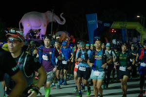 BIB: 
                            <button type="button" onclick="openModal(25585629)" class="btn btn-primary btn-sm float-right btn-popup" data-toggle="modal" data-target=".modal-high-quality">
                        <i class="fas fa-shopping-cart"></i> Add to Cart
                    </button>
                                            <button type="button" onclick="isThisMe(25585629, true)" class="btn btn-success btn-sm float-right btn-popup btn-isme hidden" data-toggle="tooltip" data-placement="bottom" title="นี่คือรูปของคุณใช่ไหม คลิกที่นี่เพื่อเอาเข้าอัลบั้ม">
                        <i class="fas fa-plus"></i> Add to album
                    </button>
                    <button type="button" onclick="isThisMe(25585629, false)" class="btn btn-warning btn-sm float-right btn-popup btn-isnotme hidden">
                        <i class="fas fa-ban"></i> Remove from album
                    </button>