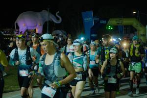 BIB: 
                            <button type="button" onclick="openModal(25584805)" class="btn btn-primary btn-sm float-right btn-popup" data-toggle="modal" data-target=".modal-high-quality">
                        <i class="fas fa-shopping-cart"></i> Add to Cart
                    </button>
                                            <button type="button" onclick="isThisMe(25584805, true)" class="btn btn-success btn-sm float-right btn-popup btn-isme hidden" data-toggle="tooltip" data-placement="bottom" title="นี่คือรูปของคุณใช่ไหม คลิกที่นี่เพื่อเอาเข้าอัลบั้ม">
                        <i class="fas fa-plus"></i> Add to album
                    </button>
                    <button type="button" onclick="isThisMe(25584805, false)" class="btn btn-warning btn-sm float-right btn-popup btn-isnotme hidden">
                        <i class="fas fa-ban"></i> Remove from album
                    </button>