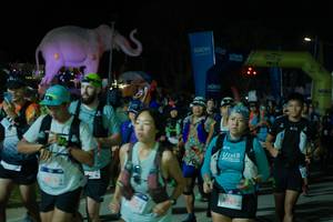 BIB: 
                            <button type="button" onclick="openModal(25585594)" class="btn btn-primary btn-sm float-right btn-popup" data-toggle="modal" data-target=".modal-high-quality">
                        <i class="fas fa-shopping-cart"></i> Add to Cart
                    </button>
                                            <button type="button" onclick="isThisMe(25585594, true)" class="btn btn-success btn-sm float-right btn-popup btn-isme hidden" data-toggle="tooltip" data-placement="bottom" title="นี่คือรูปของคุณใช่ไหม คลิกที่นี่เพื่อเอาเข้าอัลบั้ม">
                        <i class="fas fa-plus"></i> Add to album
                    </button>
                    <button type="button" onclick="isThisMe(25585594, false)" class="btn btn-warning btn-sm float-right btn-popup btn-isnotme hidden">
                        <i class="fas fa-ban"></i> Remove from album
                    </button>