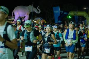 BIB: 
                            <button type="button" onclick="openModal(25585547)" class="btn btn-primary btn-sm float-right btn-popup" data-toggle="modal" data-target=".modal-high-quality">
                        <i class="fas fa-shopping-cart"></i> Add to Cart
                    </button>
                                            <button type="button" onclick="isThisMe(25585547, true)" class="btn btn-success btn-sm float-right btn-popup btn-isme hidden" data-toggle="tooltip" data-placement="bottom" title="นี่คือรูปของคุณใช่ไหม คลิกที่นี่เพื่อเอาเข้าอัลบั้ม">
                        <i class="fas fa-plus"></i> Add to album
                    </button>
                    <button type="button" onclick="isThisMe(25585547, false)" class="btn btn-warning btn-sm float-right btn-popup btn-isnotme hidden">
                        <i class="fas fa-ban"></i> Remove from album
                    </button>