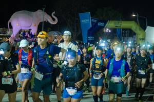 BIB: 
                            <button type="button" onclick="openModal(25584966)" class="btn btn-primary btn-sm float-right btn-popup" data-toggle="modal" data-target=".modal-high-quality">
                        <i class="fas fa-shopping-cart"></i> Add to Cart
                    </button>
                                            <button type="button" onclick="isThisMe(25584966, true)" class="btn btn-success btn-sm float-right btn-popup btn-isme hidden" data-toggle="tooltip" data-placement="bottom" title="นี่คือรูปของคุณใช่ไหม คลิกที่นี่เพื่อเอาเข้าอัลบั้ม">
                        <i class="fas fa-plus"></i> Add to album
                    </button>
                    <button type="button" onclick="isThisMe(25584966, false)" class="btn btn-warning btn-sm float-right btn-popup btn-isnotme hidden">
                        <i class="fas fa-ban"></i> Remove from album
                    </button>