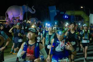 BIB: 
                            <button type="button" onclick="openModal(25584704)" class="btn btn-primary btn-sm float-right btn-popup" data-toggle="modal" data-target=".modal-high-quality">
                        <i class="fas fa-shopping-cart"></i> Add to Cart
                    </button>
                                            <button type="button" onclick="isThisMe(25584704, true)" class="btn btn-success btn-sm float-right btn-popup btn-isme hidden" data-toggle="tooltip" data-placement="bottom" title="นี่คือรูปของคุณใช่ไหม คลิกที่นี่เพื่อเอาเข้าอัลบั้ม">
                        <i class="fas fa-plus"></i> Add to album
                    </button>
                    <button type="button" onclick="isThisMe(25584704, false)" class="btn btn-warning btn-sm float-right btn-popup btn-isnotme hidden">
                        <i class="fas fa-ban"></i> Remove from album
                    </button>