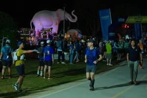 BIB: 
                            <button type="button" onclick="openModal(25584361)" class="btn btn-primary btn-sm float-right btn-popup" data-toggle="modal" data-target=".modal-high-quality">
                        <i class="fas fa-shopping-cart"></i> Add to Cart
                    </button>
                                            <button type="button" onclick="isThisMe(25584361, true)" class="btn btn-success btn-sm float-right btn-popup btn-isme hidden" data-toggle="tooltip" data-placement="bottom" title="นี่คือรูปของคุณใช่ไหม คลิกที่นี่เพื่อเอาเข้าอัลบั้ม">
                        <i class="fas fa-plus"></i> Add to album
                    </button>
                    <button type="button" onclick="isThisMe(25584361, false)" class="btn btn-warning btn-sm float-right btn-popup btn-isnotme hidden">
                        <i class="fas fa-ban"></i> Remove from album
                    </button>