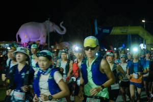 BIB: 
                            <button type="button" onclick="openModal(25583265)" class="btn btn-primary btn-sm float-right btn-popup" data-toggle="modal" data-target=".modal-high-quality">
                        <i class="fas fa-shopping-cart"></i> Add to Cart
                    </button>
                                            <button type="button" onclick="isThisMe(25583265, true)" class="btn btn-success btn-sm float-right btn-popup btn-isme hidden" data-toggle="tooltip" data-placement="bottom" title="นี่คือรูปของคุณใช่ไหม คลิกที่นี่เพื่อเอาเข้าอัลบั้ม">
                        <i class="fas fa-plus"></i> Add to album
                    </button>
                    <button type="button" onclick="isThisMe(25583265, false)" class="btn btn-warning btn-sm float-right btn-popup btn-isnotme hidden">
                        <i class="fas fa-ban"></i> Remove from album
                    </button>