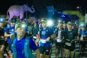 BIB: 
                            <button type="button" onclick="openModal(25584982)" class="btn btn-primary btn-sm float-right btn-popup" data-toggle="modal" data-target=".modal-high-quality">
                        <i class="fas fa-shopping-cart"></i> Add to Cart
                    </button>
                                            <button type="button" onclick="isThisMe(25584982, true)" class="btn btn-success btn-sm float-right btn-popup btn-isme hidden" data-toggle="tooltip" data-placement="bottom" title="นี่คือรูปของคุณใช่ไหม คลิกที่นี่เพื่อเอาเข้าอัลบั้ม">
                        <i class="fas fa-plus"></i> Add to album
                    </button>
                    <button type="button" onclick="isThisMe(25584982, false)" class="btn btn-warning btn-sm float-right btn-popup btn-isnotme hidden">
                        <i class="fas fa-ban"></i> Remove from album
                    </button>