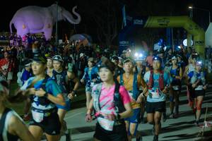 BIB: 
                            <button type="button" onclick="openModal(25583375)" class="btn btn-primary btn-sm float-right btn-popup" data-toggle="modal" data-target=".modal-high-quality">
                        <i class="fas fa-shopping-cart"></i> Add to Cart
                    </button>
                                            <button type="button" onclick="isThisMe(25583375, true)" class="btn btn-success btn-sm float-right btn-popup btn-isme hidden" data-toggle="tooltip" data-placement="bottom" title="นี่คือรูปของคุณใช่ไหม คลิกที่นี่เพื่อเอาเข้าอัลบั้ม">
                        <i class="fas fa-plus"></i> Add to album
                    </button>
                    <button type="button" onclick="isThisMe(25583375, false)" class="btn btn-warning btn-sm float-right btn-popup btn-isnotme hidden">
                        <i class="fas fa-ban"></i> Remove from album
                    </button>