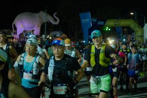 BIB: 
                            <button type="button" onclick="openModal(25584819)" class="btn btn-primary btn-sm float-right btn-popup" data-toggle="modal" data-target=".modal-high-quality">
                        <i class="fas fa-shopping-cart"></i> Add to Cart
                    </button>
                                            <button type="button" onclick="isThisMe(25584819, true)" class="btn btn-success btn-sm float-right btn-popup btn-isme hidden" data-toggle="tooltip" data-placement="bottom" title="นี่คือรูปของคุณใช่ไหม คลิกที่นี่เพื่อเอาเข้าอัลบั้ม">
                        <i class="fas fa-plus"></i> Add to album
                    </button>
                    <button type="button" onclick="isThisMe(25584819, false)" class="btn btn-warning btn-sm float-right btn-popup btn-isnotme hidden">
                        <i class="fas fa-ban"></i> Remove from album
                    </button>