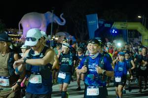 BIB: 
                            <button type="button" onclick="openModal(25585489)" class="btn btn-primary btn-sm float-right btn-popup" data-toggle="modal" data-target=".modal-high-quality">
                        <i class="fas fa-shopping-cart"></i> Add to Cart
                    </button>
                                            <button type="button" onclick="isThisMe(25585489, true)" class="btn btn-success btn-sm float-right btn-popup btn-isme hidden" data-toggle="tooltip" data-placement="bottom" title="นี่คือรูปของคุณใช่ไหม คลิกที่นี่เพื่อเอาเข้าอัลบั้ม">
                        <i class="fas fa-plus"></i> Add to album
                    </button>
                    <button type="button" onclick="isThisMe(25585489, false)" class="btn btn-warning btn-sm float-right btn-popup btn-isnotme hidden">
                        <i class="fas fa-ban"></i> Remove from album
                    </button>