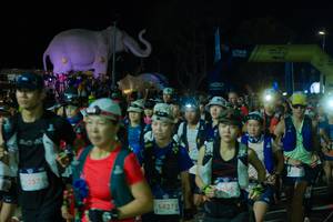 BIB: 
                            <button type="button" onclick="openModal(25583256)" class="btn btn-primary btn-sm float-right btn-popup" data-toggle="modal" data-target=".modal-high-quality">
                        <i class="fas fa-shopping-cart"></i> Add to Cart
                    </button>
                                            <button type="button" onclick="isThisMe(25583256, true)" class="btn btn-success btn-sm float-right btn-popup btn-isme hidden" data-toggle="tooltip" data-placement="bottom" title="นี่คือรูปของคุณใช่ไหม คลิกที่นี่เพื่อเอาเข้าอัลบั้ม">
                        <i class="fas fa-plus"></i> Add to album
                    </button>
                    <button type="button" onclick="isThisMe(25583256, false)" class="btn btn-warning btn-sm float-right btn-popup btn-isnotme hidden">
                        <i class="fas fa-ban"></i> Remove from album
                    </button>