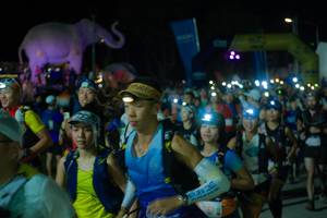 BIB: 
                            <button type="button" onclick="openModal(25583983)" class="btn btn-primary btn-sm float-right btn-popup" data-toggle="modal" data-target=".modal-high-quality">
                        <i class="fas fa-shopping-cart"></i> Add to Cart
                    </button>
                                            <button type="button" onclick="isThisMe(25583983, true)" class="btn btn-success btn-sm float-right btn-popup btn-isme hidden" data-toggle="tooltip" data-placement="bottom" title="นี่คือรูปของคุณใช่ไหม คลิกที่นี่เพื่อเอาเข้าอัลบั้ม">
                        <i class="fas fa-plus"></i> Add to album
                    </button>
                    <button type="button" onclick="isThisMe(25583983, false)" class="btn btn-warning btn-sm float-right btn-popup btn-isnotme hidden">
                        <i class="fas fa-ban"></i> Remove from album
                    </button>