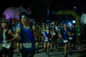 BIB: 
                            <button type="button" onclick="openModal(25583024)" class="btn btn-primary btn-sm float-right btn-popup" data-toggle="modal" data-target=".modal-high-quality">
                        <i class="fas fa-shopping-cart"></i> Add to Cart
                    </button>
                                            <button type="button" onclick="isThisMe(25583024, true)" class="btn btn-success btn-sm float-right btn-popup btn-isme hidden" data-toggle="tooltip" data-placement="bottom" title="นี่คือรูปของคุณใช่ไหม คลิกที่นี่เพื่อเอาเข้าอัลบั้ม">
                        <i class="fas fa-plus"></i> Add to album
                    </button>
                    <button type="button" onclick="isThisMe(25583024, false)" class="btn btn-warning btn-sm float-right btn-popup btn-isnotme hidden">
                        <i class="fas fa-ban"></i> Remove from album
                    </button>