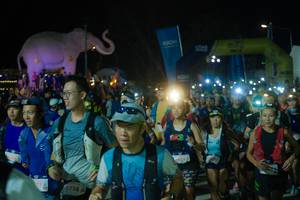 BIB: 
                            <button type="button" onclick="openModal(25584052)" class="btn btn-primary btn-sm float-right btn-popup" data-toggle="modal" data-target=".modal-high-quality">
                        <i class="fas fa-shopping-cart"></i> Add to Cart
                    </button>
                                            <button type="button" onclick="isThisMe(25584052, true)" class="btn btn-success btn-sm float-right btn-popup btn-isme hidden" data-toggle="tooltip" data-placement="bottom" title="นี่คือรูปของคุณใช่ไหม คลิกที่นี่เพื่อเอาเข้าอัลบั้ม">
                        <i class="fas fa-plus"></i> Add to album
                    </button>
                    <button type="button" onclick="isThisMe(25584052, false)" class="btn btn-warning btn-sm float-right btn-popup btn-isnotme hidden">
                        <i class="fas fa-ban"></i> Remove from album
                    </button>