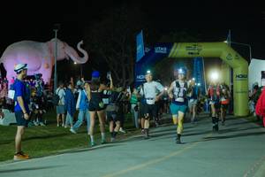 BIB: 
                            <button type="button" onclick="openModal(25583504)" class="btn btn-primary btn-sm float-right btn-popup" data-toggle="modal" data-target=".modal-high-quality">
                        <i class="fas fa-shopping-cart"></i> Add to Cart
                    </button>
                                            <button type="button" onclick="isThisMe(25583504, true)" class="btn btn-success btn-sm float-right btn-popup btn-isme hidden" data-toggle="tooltip" data-placement="bottom" title="นี่คือรูปของคุณใช่ไหม คลิกที่นี่เพื่อเอาเข้าอัลบั้ม">
                        <i class="fas fa-plus"></i> Add to album
                    </button>
                    <button type="button" onclick="isThisMe(25583504, false)" class="btn btn-warning btn-sm float-right btn-popup btn-isnotme hidden">
                        <i class="fas fa-ban"></i> Remove from album
                    </button>