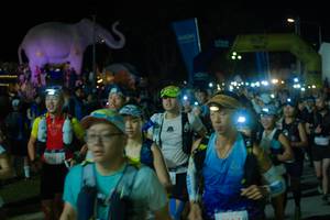 BIB: 
                            <button type="button" onclick="openModal(25583976)" class="btn btn-primary btn-sm float-right btn-popup" data-toggle="modal" data-target=".modal-high-quality">
                        <i class="fas fa-shopping-cart"></i> Add to Cart
                    </button>
                                            <button type="button" onclick="isThisMe(25583976, true)" class="btn btn-success btn-sm float-right btn-popup btn-isme hidden" data-toggle="tooltip" data-placement="bottom" title="นี่คือรูปของคุณใช่ไหม คลิกที่นี่เพื่อเอาเข้าอัลบั้ม">
                        <i class="fas fa-plus"></i> Add to album
                    </button>
                    <button type="button" onclick="isThisMe(25583976, false)" class="btn btn-warning btn-sm float-right btn-popup btn-isnotme hidden">
                        <i class="fas fa-ban"></i> Remove from album
                    </button>