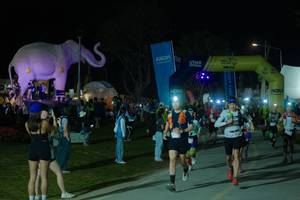 BIB: 
                            <button type="button" onclick="openModal(25585862)" class="btn btn-primary btn-sm float-right btn-popup" data-toggle="modal" data-target=".modal-high-quality">
                        <i class="fas fa-shopping-cart"></i> Add to Cart
                    </button>
                                            <button type="button" onclick="isThisMe(25585862, true)" class="btn btn-success btn-sm float-right btn-popup btn-isme hidden" data-toggle="tooltip" data-placement="bottom" title="นี่คือรูปของคุณใช่ไหม คลิกที่นี่เพื่อเอาเข้าอัลบั้ม">
                        <i class="fas fa-plus"></i> Add to album
                    </button>
                    <button type="button" onclick="isThisMe(25585862, false)" class="btn btn-warning btn-sm float-right btn-popup btn-isnotme hidden">
                        <i class="fas fa-ban"></i> Remove from album
                    </button>