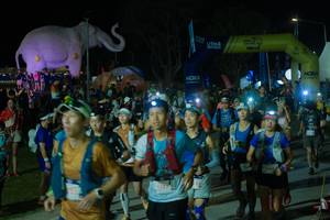 BIB: 
                            <button type="button" onclick="openModal(25583389)" class="btn btn-primary btn-sm float-right btn-popup" data-toggle="modal" data-target=".modal-high-quality">
                        <i class="fas fa-shopping-cart"></i> Add to Cart
                    </button>
                                            <button type="button" onclick="isThisMe(25583389, true)" class="btn btn-success btn-sm float-right btn-popup btn-isme hidden" data-toggle="tooltip" data-placement="bottom" title="นี่คือรูปของคุณใช่ไหม คลิกที่นี่เพื่อเอาเข้าอัลบั้ม">
                        <i class="fas fa-plus"></i> Add to album
                    </button>
                    <button type="button" onclick="isThisMe(25583389, false)" class="btn btn-warning btn-sm float-right btn-popup btn-isnotme hidden">
                        <i class="fas fa-ban"></i> Remove from album
                    </button>