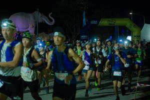 BIB: 
                            <button type="button" onclick="openModal(25583023)" class="btn btn-primary btn-sm float-right btn-popup" data-toggle="modal" data-target=".modal-high-quality">
                        <i class="fas fa-shopping-cart"></i> Add to Cart
                    </button>
                                            <button type="button" onclick="isThisMe(25583023, true)" class="btn btn-success btn-sm float-right btn-popup btn-isme hidden" data-toggle="tooltip" data-placement="bottom" title="นี่คือรูปของคุณใช่ไหม คลิกที่นี่เพื่อเอาเข้าอัลบั้ม">
                        <i class="fas fa-plus"></i> Add to album
                    </button>
                    <button type="button" onclick="isThisMe(25583023, false)" class="btn btn-warning btn-sm float-right btn-popup btn-isnotme hidden">
                        <i class="fas fa-ban"></i> Remove from album
                    </button>