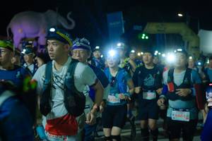 BIB: 
                            <button type="button" onclick="openModal(25586250)" class="btn btn-primary btn-sm float-right btn-popup" data-toggle="modal" data-target=".modal-high-quality">
                        <i class="fas fa-shopping-cart"></i> Add to Cart
                    </button>
                                            <button type="button" onclick="isThisMe(25586250, true)" class="btn btn-success btn-sm float-right btn-popup btn-isme hidden" data-toggle="tooltip" data-placement="bottom" title="นี่คือรูปของคุณใช่ไหม คลิกที่นี่เพื่อเอาเข้าอัลบั้ม">
                        <i class="fas fa-plus"></i> Add to album
                    </button>
                    <button type="button" onclick="isThisMe(25586250, false)" class="btn btn-warning btn-sm float-right btn-popup btn-isnotme hidden">
                        <i class="fas fa-ban"></i> Remove from album
                    </button>