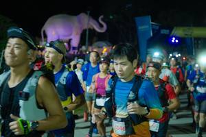 BIB: 
                            <button type="button" onclick="openModal(25585025)" class="btn btn-primary btn-sm float-right btn-popup" data-toggle="modal" data-target=".modal-high-quality">
                        <i class="fas fa-shopping-cart"></i> Add to Cart
                    </button>
                                            <button type="button" onclick="isThisMe(25585025, true)" class="btn btn-success btn-sm float-right btn-popup btn-isme hidden" data-toggle="tooltip" data-placement="bottom" title="นี่คือรูปของคุณใช่ไหม คลิกที่นี่เพื่อเอาเข้าอัลบั้ม">
                        <i class="fas fa-plus"></i> Add to album
                    </button>
                    <button type="button" onclick="isThisMe(25585025, false)" class="btn btn-warning btn-sm float-right btn-popup btn-isnotme hidden">
                        <i class="fas fa-ban"></i> Remove from album
                    </button>