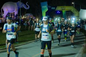 BIB: 
                            <button type="button" onclick="openModal(25587230)" class="btn btn-primary btn-sm float-right btn-popup" data-toggle="modal" data-target=".modal-high-quality">
                        <i class="fas fa-shopping-cart"></i> Add to Cart
                    </button>
                                            <button type="button" onclick="isThisMe(25587230, true)" class="btn btn-success btn-sm float-right btn-popup btn-isme hidden" data-toggle="tooltip" data-placement="bottom" title="นี่คือรูปของคุณใช่ไหม คลิกที่นี่เพื่อเอาเข้าอัลบั้ม">
                        <i class="fas fa-plus"></i> Add to album
                    </button>
                    <button type="button" onclick="isThisMe(25587230, false)" class="btn btn-warning btn-sm float-right btn-popup btn-isnotme hidden">
                        <i class="fas fa-ban"></i> Remove from album
                    </button>