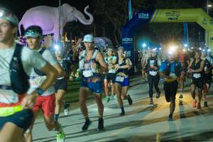 BIB: 
                            <button type="button" onclick="openModal(25582994)" class="btn btn-primary btn-sm float-right btn-popup" data-toggle="modal" data-target=".modal-high-quality">
                        <i class="fas fa-shopping-cart"></i> Add to Cart
                    </button>
                                            <button type="button" onclick="isThisMe(25582994, true)" class="btn btn-success btn-sm float-right btn-popup btn-isme hidden" data-toggle="tooltip" data-placement="bottom" title="นี่คือรูปของคุณใช่ไหม คลิกที่นี่เพื่อเอาเข้าอัลบั้ม">
                        <i class="fas fa-plus"></i> Add to album
                    </button>
                    <button type="button" onclick="isThisMe(25582994, false)" class="btn btn-warning btn-sm float-right btn-popup btn-isnotme hidden">
                        <i class="fas fa-ban"></i> Remove from album
                    </button>