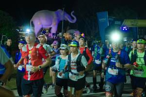 BIB: 
                            <button type="button" onclick="openModal(25585035)" class="btn btn-primary btn-sm float-right btn-popup" data-toggle="modal" data-target=".modal-high-quality">
                        <i class="fas fa-shopping-cart"></i> Add to Cart
                    </button>
                                            <button type="button" onclick="isThisMe(25585035, true)" class="btn btn-success btn-sm float-right btn-popup btn-isme hidden" data-toggle="tooltip" data-placement="bottom" title="นี่คือรูปของคุณใช่ไหม คลิกที่นี่เพื่อเอาเข้าอัลบั้ม">
                        <i class="fas fa-plus"></i> Add to album
                    </button>
                    <button type="button" onclick="isThisMe(25585035, false)" class="btn btn-warning btn-sm float-right btn-popup btn-isnotme hidden">
                        <i class="fas fa-ban"></i> Remove from album
                    </button>