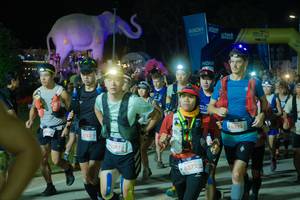 BIB: 
                            <button type="button" onclick="openModal(25584761)" class="btn btn-primary btn-sm float-right btn-popup" data-toggle="modal" data-target=".modal-high-quality">
                        <i class="fas fa-shopping-cart"></i> Add to Cart
                    </button>
                                            <button type="button" onclick="isThisMe(25584761, true)" class="btn btn-success btn-sm float-right btn-popup btn-isme hidden" data-toggle="tooltip" data-placement="bottom" title="นี่คือรูปของคุณใช่ไหม คลิกที่นี่เพื่อเอาเข้าอัลบั้ม">
                        <i class="fas fa-plus"></i> Add to album
                    </button>
                    <button type="button" onclick="isThisMe(25584761, false)" class="btn btn-warning btn-sm float-right btn-popup btn-isnotme hidden">
                        <i class="fas fa-ban"></i> Remove from album
                    </button>