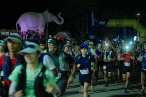 BIB: 
                            <button type="button" onclick="openModal(25583158)" class="btn btn-primary btn-sm float-right btn-popup" data-toggle="modal" data-target=".modal-high-quality">
                        <i class="fas fa-shopping-cart"></i> Add to Cart
                    </button>
                                            <button type="button" onclick="isThisMe(25583158, true)" class="btn btn-success btn-sm float-right btn-popup btn-isme hidden" data-toggle="tooltip" data-placement="bottom" title="นี่คือรูปของคุณใช่ไหม คลิกที่นี่เพื่อเอาเข้าอัลบั้ม">
                        <i class="fas fa-plus"></i> Add to album
                    </button>
                    <button type="button" onclick="isThisMe(25583158, false)" class="btn btn-warning btn-sm float-right btn-popup btn-isnotme hidden">
                        <i class="fas fa-ban"></i> Remove from album
                    </button>