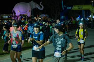 BIB: 
                            <button type="button" onclick="openModal(25583428)" class="btn btn-primary btn-sm float-right btn-popup" data-toggle="modal" data-target=".modal-high-quality">
                        <i class="fas fa-shopping-cart"></i> Add to Cart
                    </button>
                                            <button type="button" onclick="isThisMe(25583428, true)" class="btn btn-success btn-sm float-right btn-popup btn-isme hidden" data-toggle="tooltip" data-placement="bottom" title="นี่คือรูปของคุณใช่ไหม คลิกที่นี่เพื่อเอาเข้าอัลบั้ม">
                        <i class="fas fa-plus"></i> Add to album
                    </button>
                    <button type="button" onclick="isThisMe(25583428, false)" class="btn btn-warning btn-sm float-right btn-popup btn-isnotme hidden">
                        <i class="fas fa-ban"></i> Remove from album
                    </button>