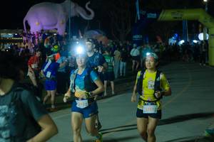 BIB: 
                            <button type="button" onclick="openModal(25583431)" class="btn btn-primary btn-sm float-right btn-popup" data-toggle="modal" data-target=".modal-high-quality">
                        <i class="fas fa-shopping-cart"></i> Add to Cart
                    </button>
                                            <button type="button" onclick="isThisMe(25583431, true)" class="btn btn-success btn-sm float-right btn-popup btn-isme hidden" data-toggle="tooltip" data-placement="bottom" title="นี่คือรูปของคุณใช่ไหม คลิกที่นี่เพื่อเอาเข้าอัลบั้ม">
                        <i class="fas fa-plus"></i> Add to album
                    </button>
                    <button type="button" onclick="isThisMe(25583431, false)" class="btn btn-warning btn-sm float-right btn-popup btn-isnotme hidden">
                        <i class="fas fa-ban"></i> Remove from album
                    </button>