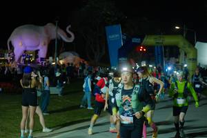 BIB: 
                            <button type="button" onclick="openModal(25585912)" class="btn btn-primary btn-sm float-right btn-popup" data-toggle="modal" data-target=".modal-high-quality">
                        <i class="fas fa-shopping-cart"></i> Add to Cart
                    </button>
                                            <button type="button" onclick="isThisMe(25585912, true)" class="btn btn-success btn-sm float-right btn-popup btn-isme hidden" data-toggle="tooltip" data-placement="bottom" title="นี่คือรูปของคุณใช่ไหม คลิกที่นี่เพื่อเอาเข้าอัลบั้ม">
                        <i class="fas fa-plus"></i> Add to album
                    </button>
                    <button type="button" onclick="isThisMe(25585912, false)" class="btn btn-warning btn-sm float-right btn-popup btn-isnotme hidden">
                        <i class="fas fa-ban"></i> Remove from album
                    </button>