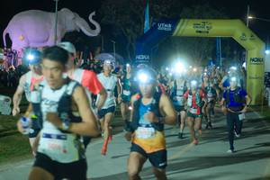 BIB: 
                            <button type="button" onclick="openModal(25582962)" class="btn btn-primary btn-sm float-right btn-popup" data-toggle="modal" data-target=".modal-high-quality">
                        <i class="fas fa-shopping-cart"></i> Add to Cart
                    </button>
                                            <button type="button" onclick="isThisMe(25582962, true)" class="btn btn-success btn-sm float-right btn-popup btn-isme hidden" data-toggle="tooltip" data-placement="bottom" title="นี่คือรูปของคุณใช่ไหม คลิกที่นี่เพื่อเอาเข้าอัลบั้ม">
                        <i class="fas fa-plus"></i> Add to album
                    </button>
                    <button type="button" onclick="isThisMe(25582962, false)" class="btn btn-warning btn-sm float-right btn-popup btn-isnotme hidden">
                        <i class="fas fa-ban"></i> Remove from album
                    </button>